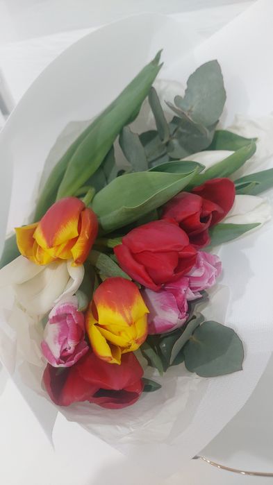 Тюльпан гүл сатылады кеше ғана алдым суға салсаң ашылады