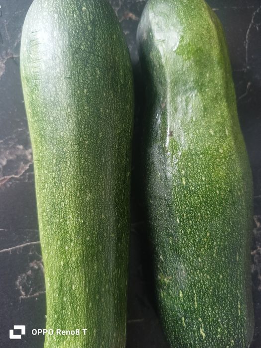 Продам кабачки, молодые