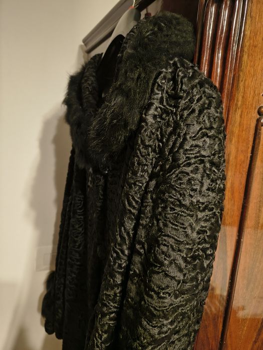 Haina scurta astrahnan