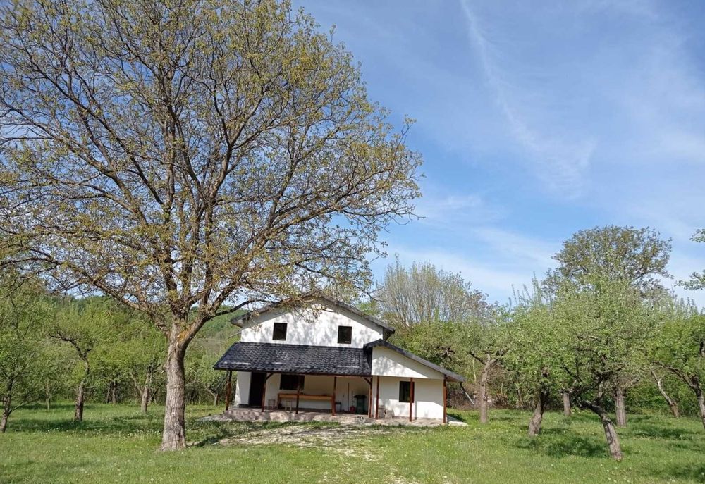 Casa de vanzare cu teren generos de 4700 mp