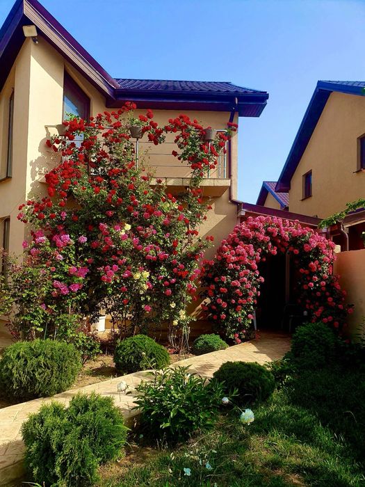 Casa Albesti Simnicu de Sus