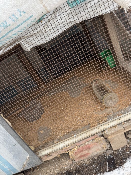 Клетки , будка для животных