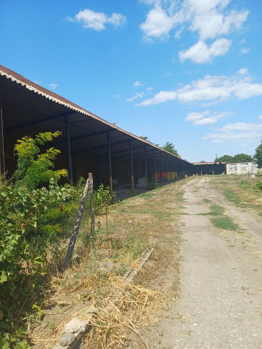 Casă cu teren în sat Albina