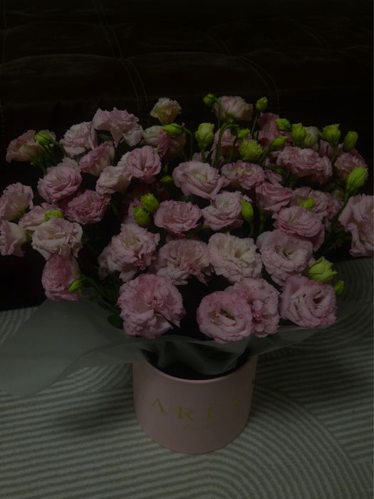 цветы коллекция капшо