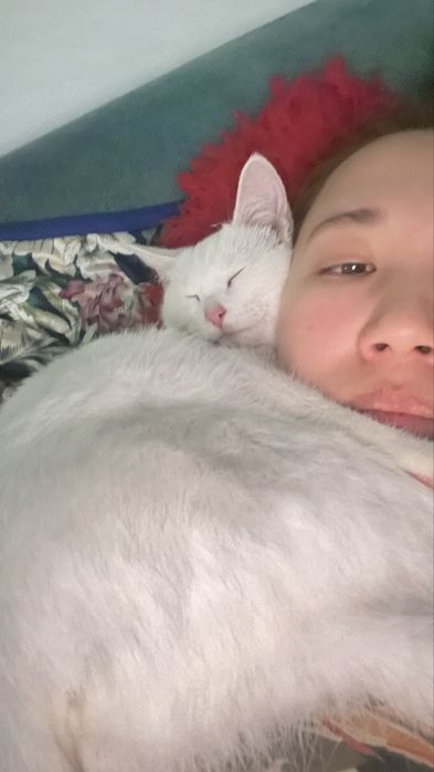 Щенки в добрые руки