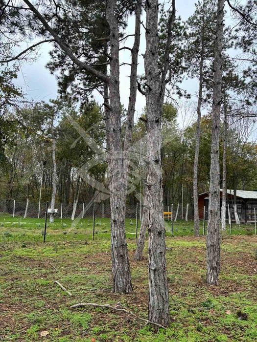 Продава се Парцел в Черноморец - 1106 кв.м за 29 €/кв.м - Снимка #1