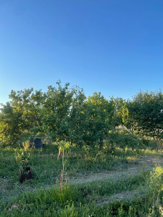 Дачный участок 10 соток