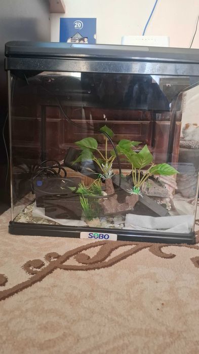 Аквариум на 30 литров