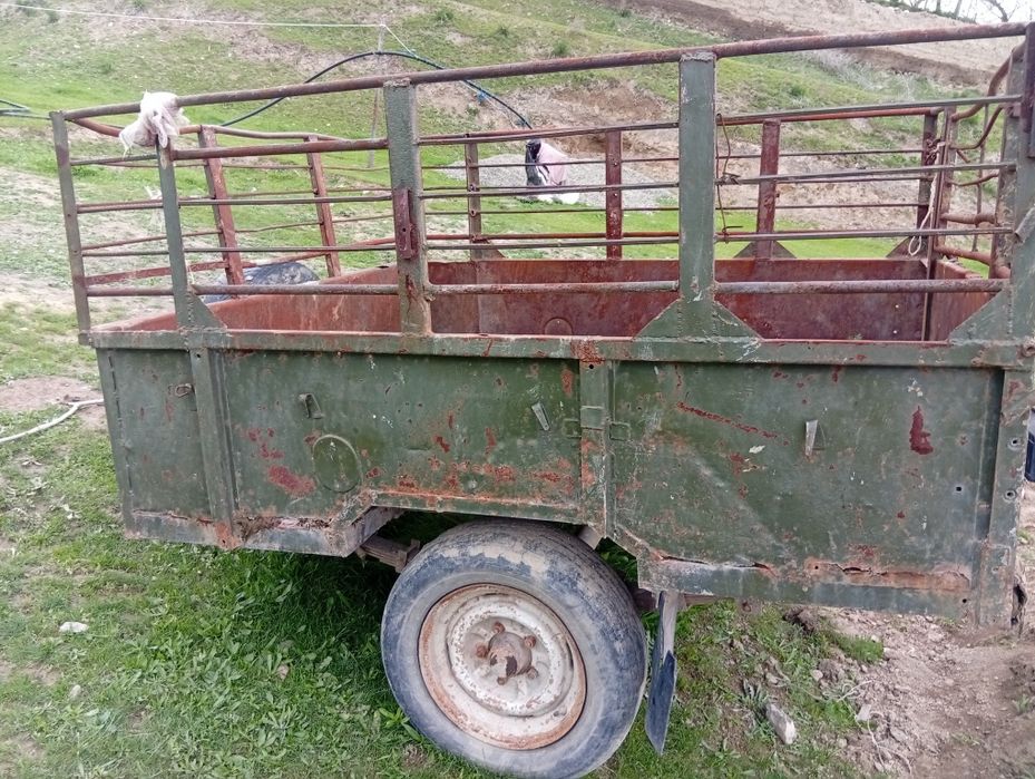 Тачка мол куй ташилган бакувват тачка