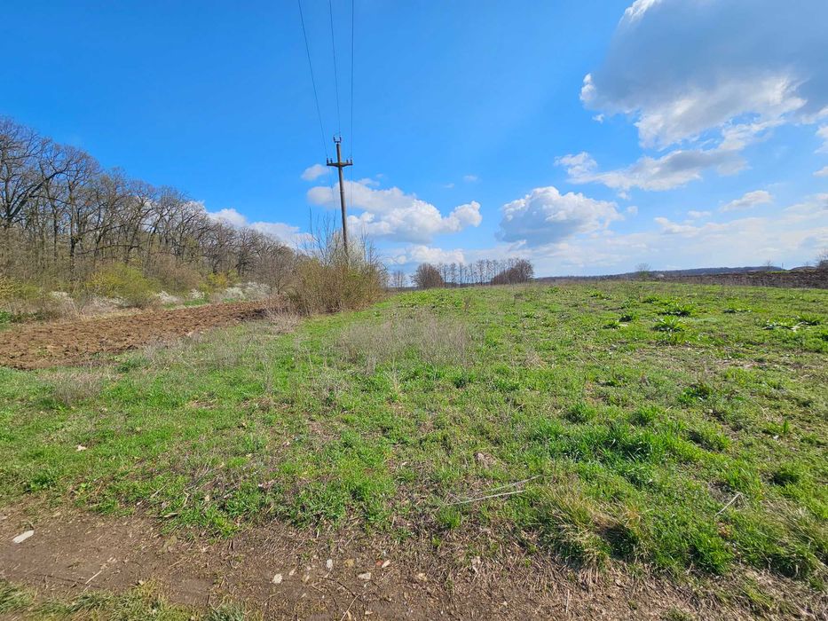 Teren intravilan Snagov Sat – lângă Pădurea Snagov | Preț negociabil