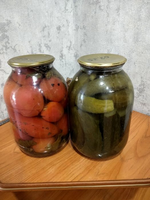 Продам огурцы и помидоры