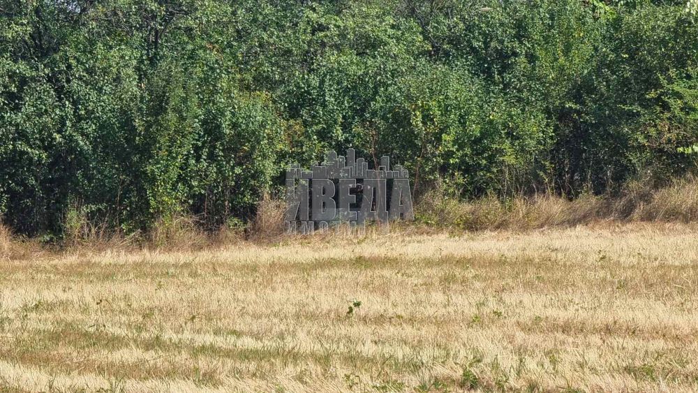 Парцел в Варна, област-с.Левски площ 4636 цена 89000