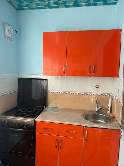 40-лет тузел-3 только семя 2/3/5/