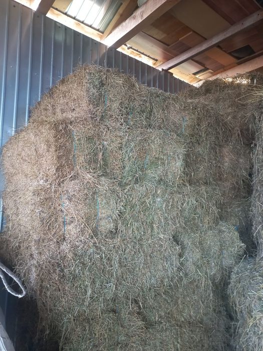 Vand baloti de lucerna