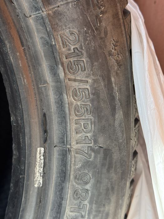 Қыстық балондар 17