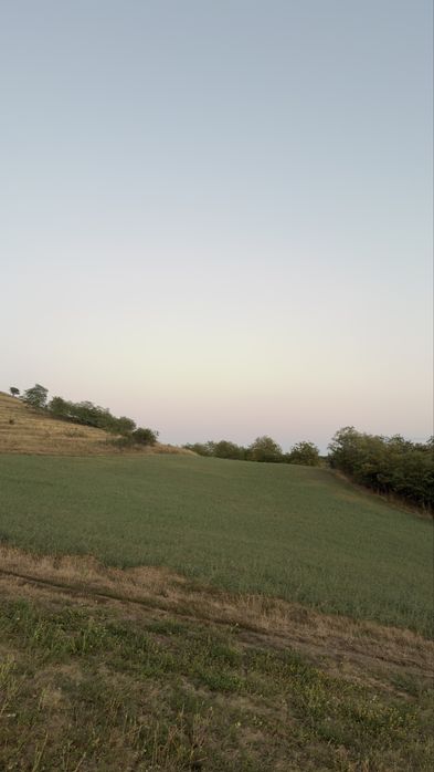 Teren extravilan Hamba 2 parcele 7000mp2
