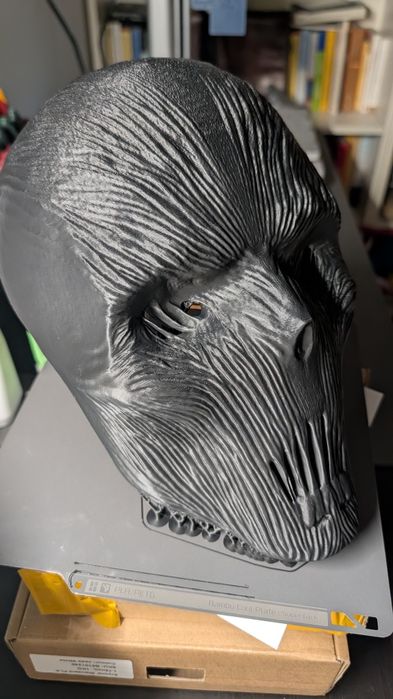 Death face mask 3d