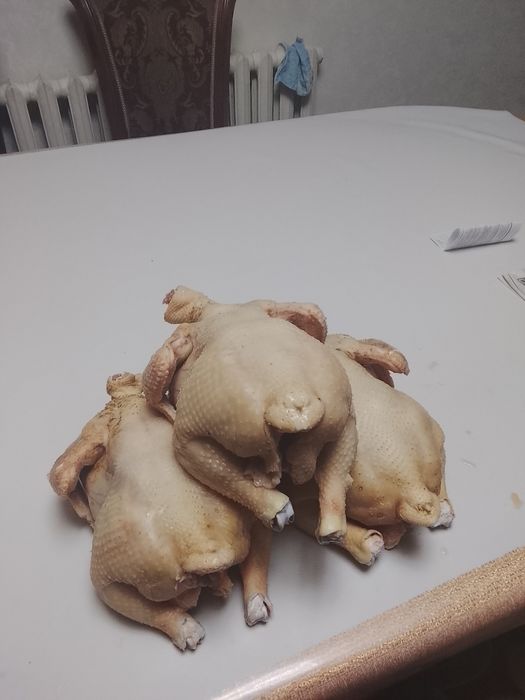 Продается куры бройлер