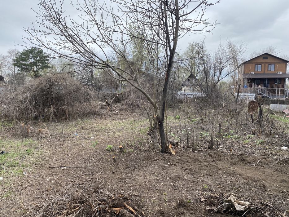 Дачный участок с домиком