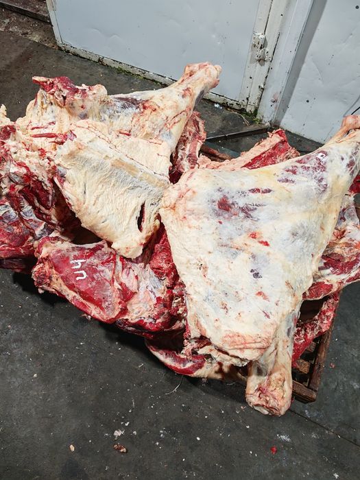 Мясо говядины конины