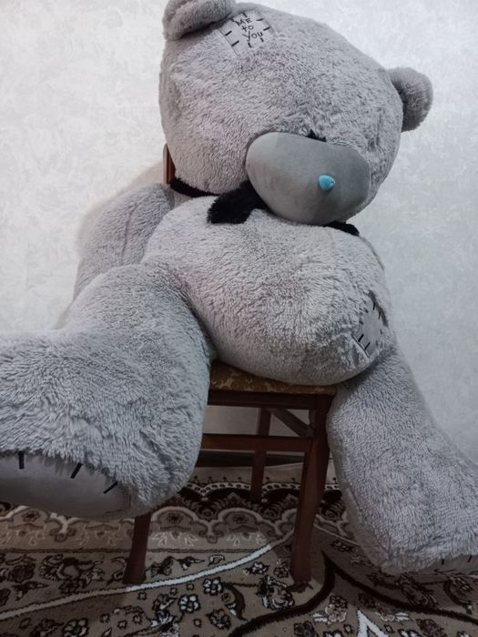 .         Teddy ayiq
