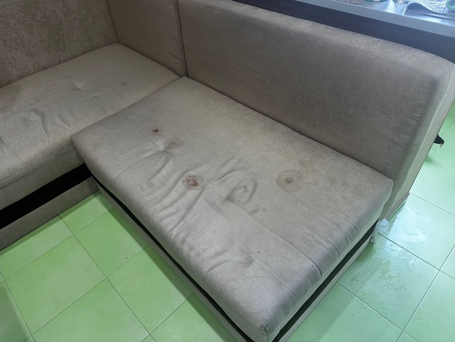 MS Cleaning Професионално почистване на ниски цени.