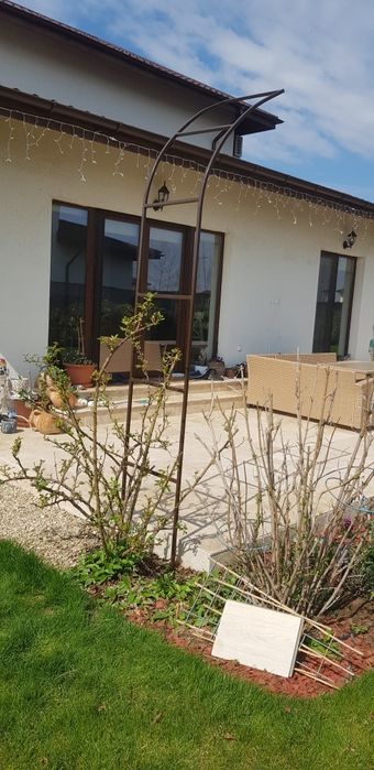 Arcade pt florii trandafiri