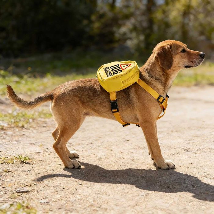 Раница за кучета Reactive, чанта за пътуване (DOG REACTIVE)