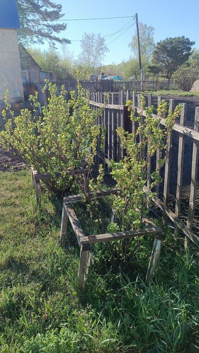 Продам дачу в Ромашке