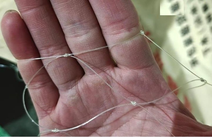 Кастинговая сетка