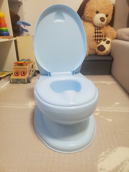 Olita educationala tip wc