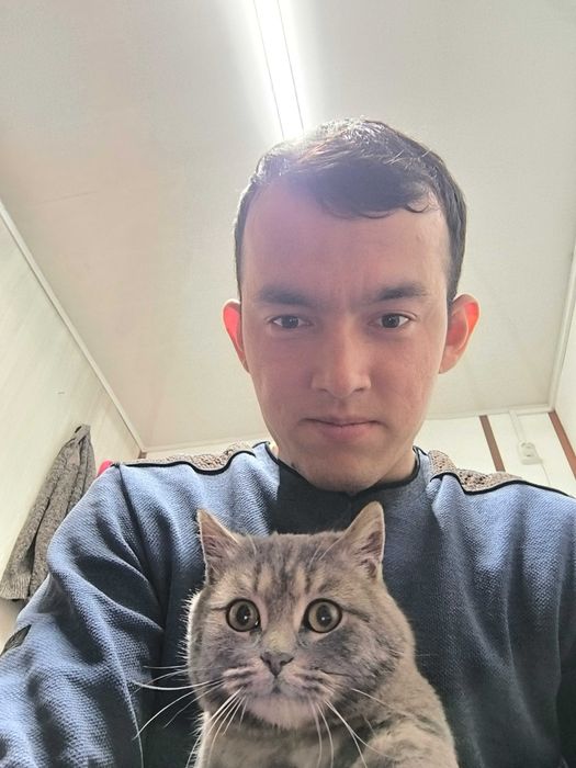 Продам кошка. Очень хорошая