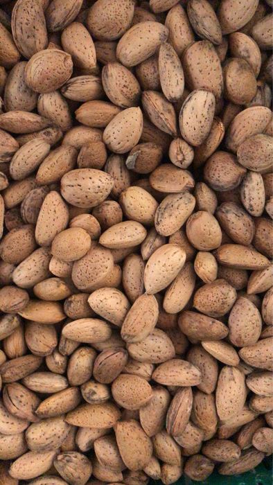 Migdale bio in coaja productie 2025