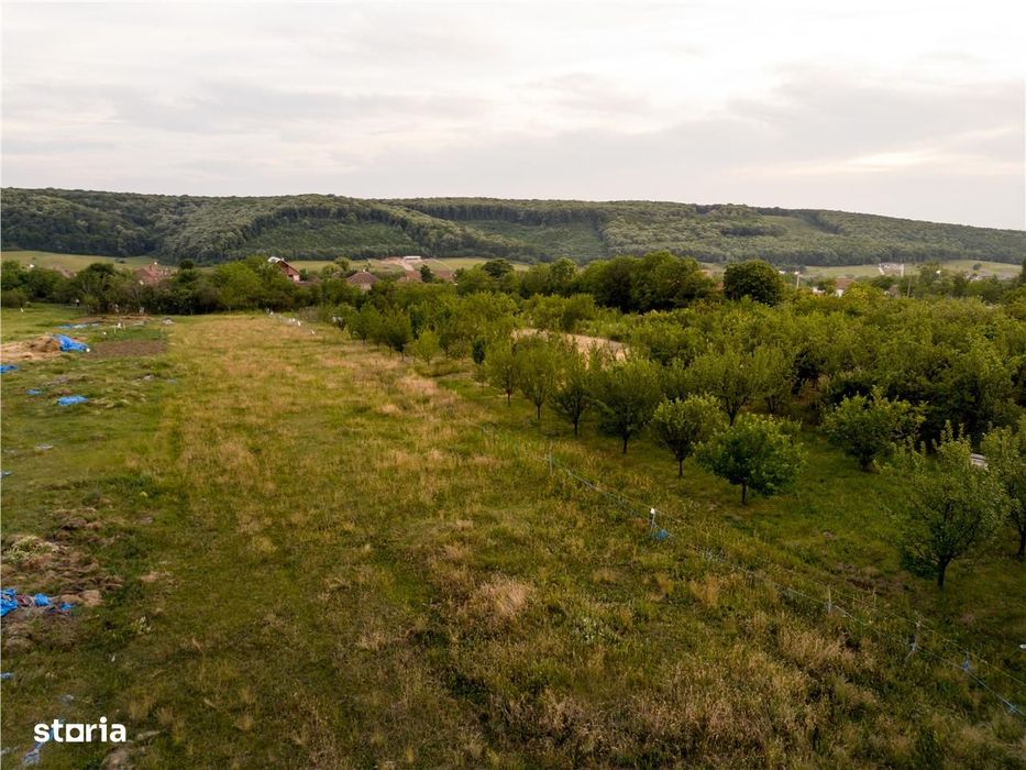 RECO Teren intravilan de vanzare Betfia, Bihor - 3000 mp, front strada