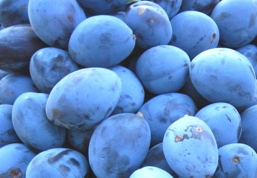 Vand prune pentru tuica Anna Spath