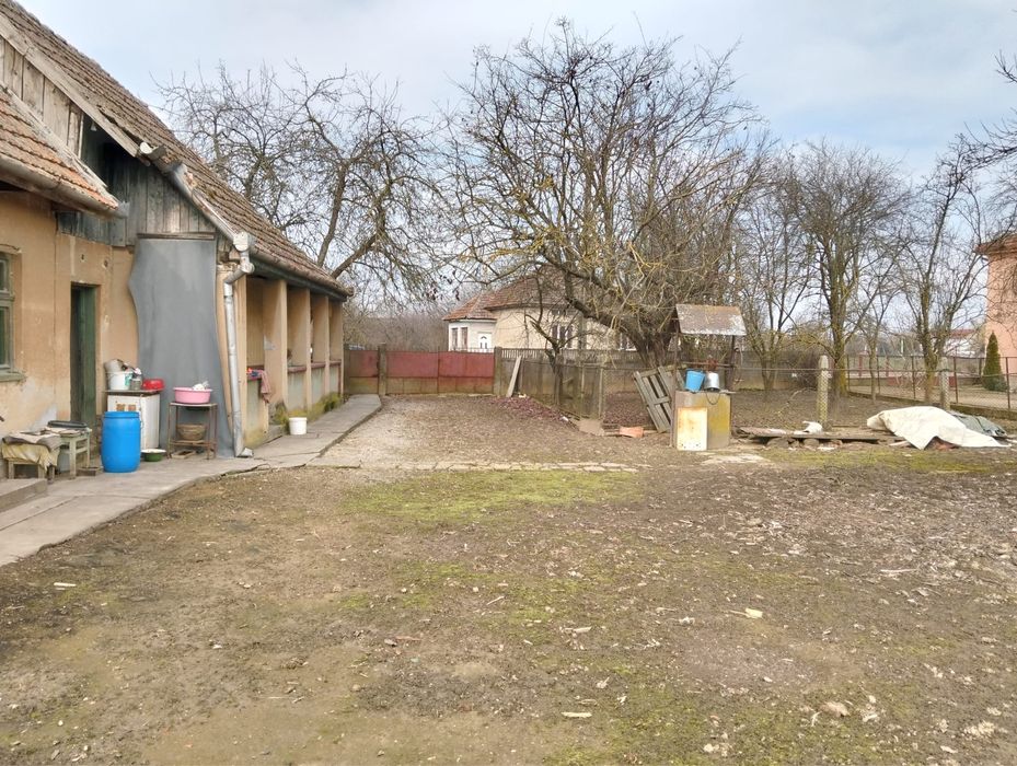 Vând casă veche în Nisipeni / Eladó régi parasztház Sandorhomok-ban