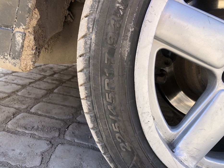 Продам Шницера 17 размер с балонами