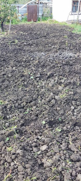 Продам дачу с баней в  СТ  Борки