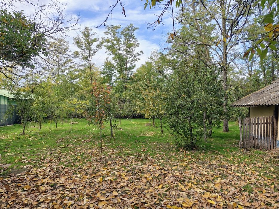 Casă de vânzare - Vlad Țepeș, Călărași