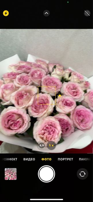 Букет роз. Вчера подарили