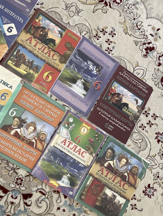 Книги шестой класс