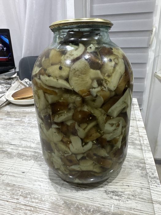 Пподам грибы валуи