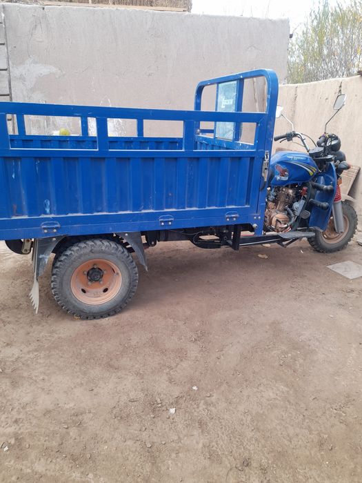 Locin mato garantiya