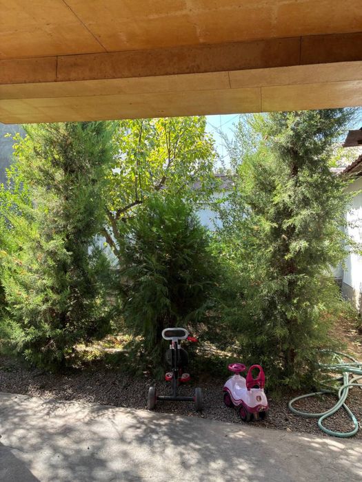 TTЗ беш капа махалля 6.2 сотых