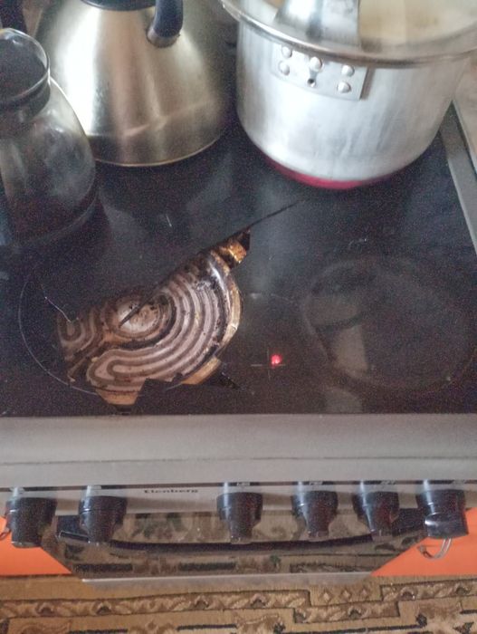 Электроплита эленберг