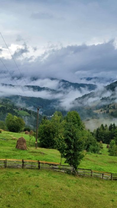 Cabana  A-frame Apuseni