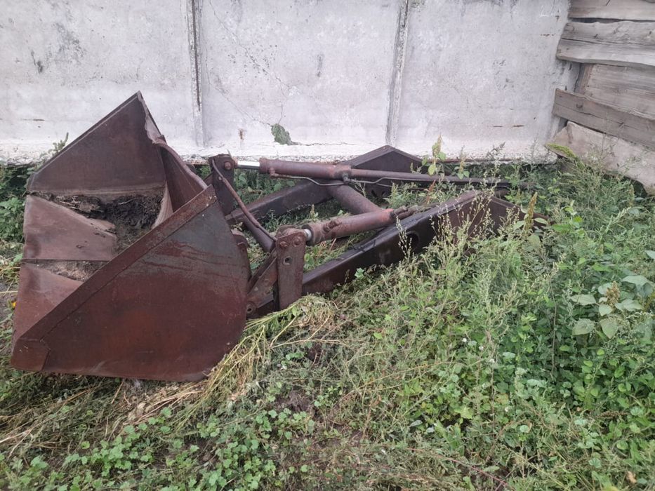 Продам Кун в хорошем состоянии