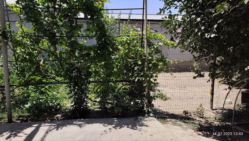 Mirzo Ulugbek ginekalogiya institut mahallada yashashga tayyor 4 xona