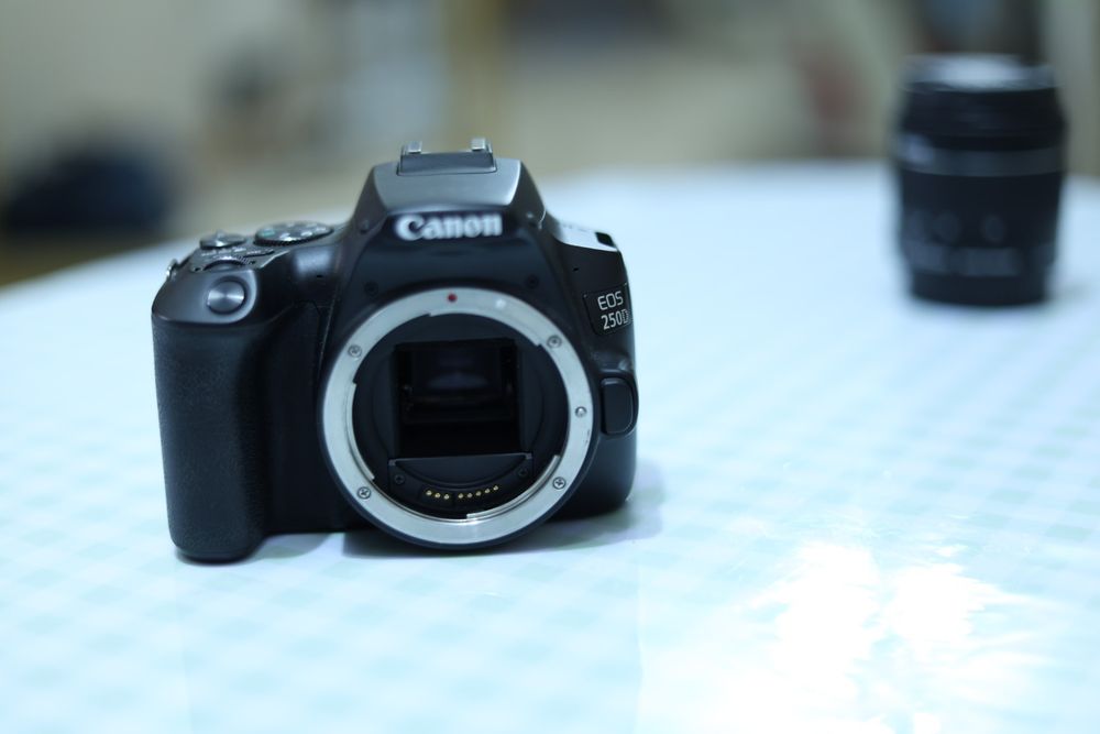 Фотокамера Canon eos 250d EF-S 18-55 IS STM Kit
