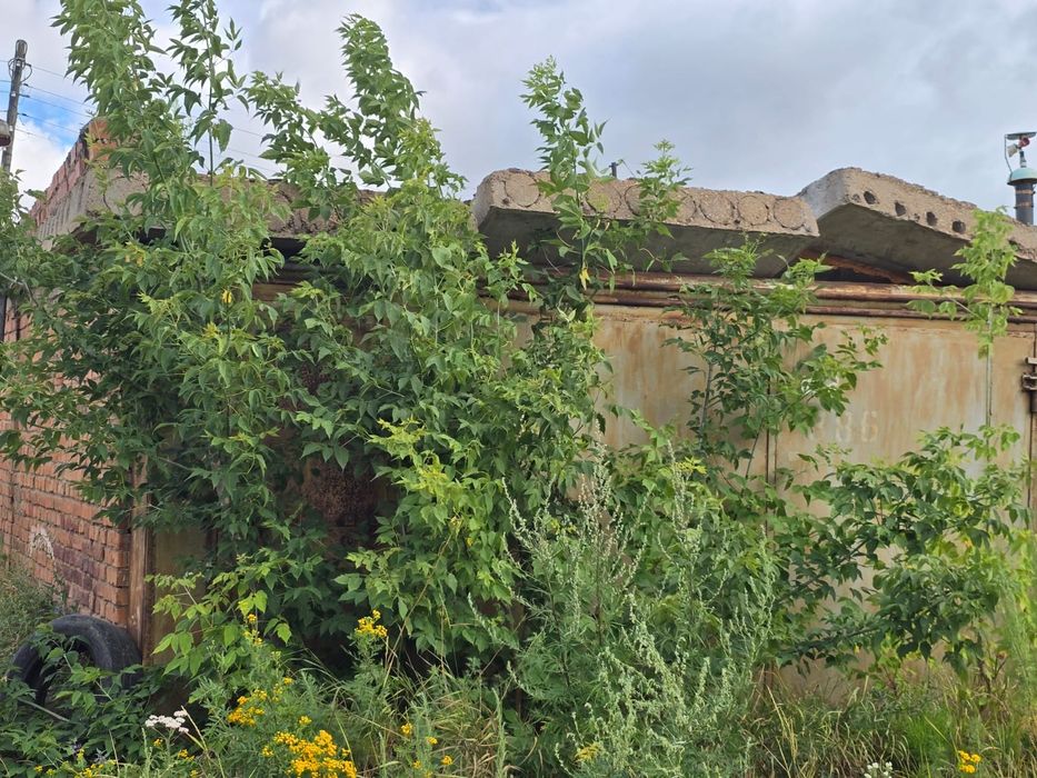 Продам два гаража на ветеранах.